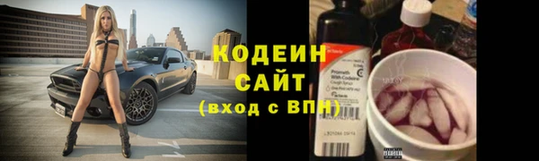 дурь Ладушкин