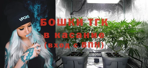 метадон Лагань