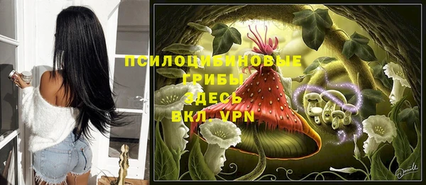 метадон Лагань
