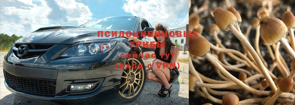метадон Лагань