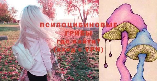 метадон Лагань