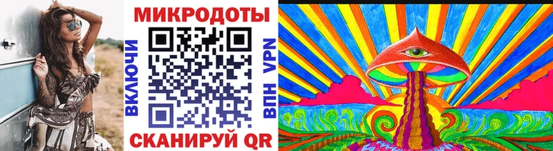 цены наркотик  Питкяранта  МЕГА вход  Псилоцибиновые грибы Cubensis 